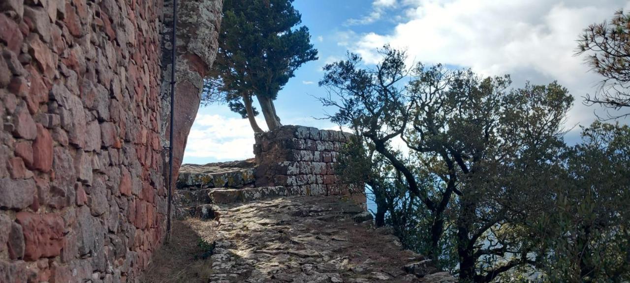 La Casita De Jimena Villa Riudecanyes Exteriör bild